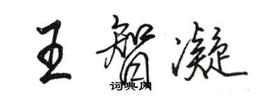 駱恆光王智凝行書個性簽名怎么寫