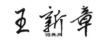 駱恆光王新章行書個性簽名怎么寫