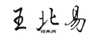 駱恆光王北易行書個性簽名怎么寫