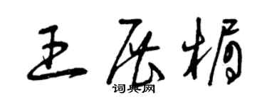 曾慶福王展楣草書個性簽名怎么寫