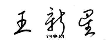 梁錦英王新星草書個性簽名怎么寫