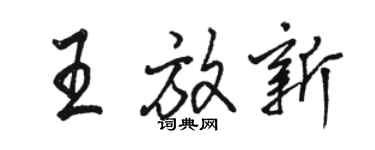 駱恆光王放新行書個性簽名怎么寫