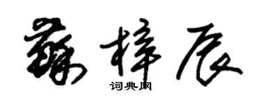 朱錫榮蘇梓辰草書個性簽名怎么寫