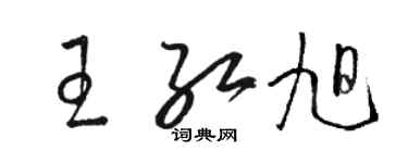 駱恆光王紅旭草書個性簽名怎么寫