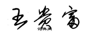 朱錫榮王貴富草書個性簽名怎么寫