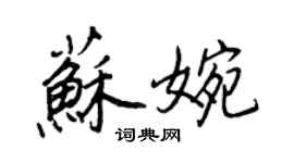 王正良蘇婉行書個性簽名怎么寫