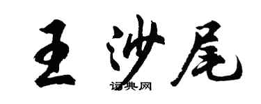 胡問遂王沙尾行書個性簽名怎么寫