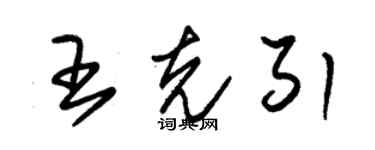 朱錫榮王克引草書個性簽名怎么寫