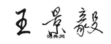 駱恆光王景毅行書個性簽名怎么寫