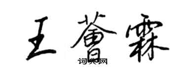 王正良王薈霖行書個性簽名怎么寫