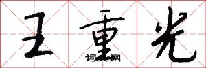 王重光怎么寫好看
