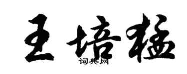 胡問遂王培猛行書個性簽名怎么寫
