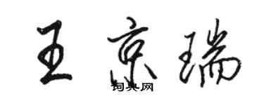 駱恆光王京瑞行書個性簽名怎么寫