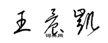 梁錦英王晨凱草書個性簽名怎么寫