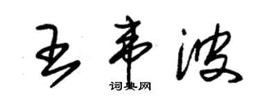 朱錫榮王韋波草書個性簽名怎么寫