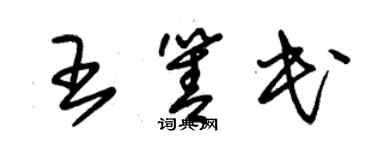 朱錫榮王箐民草書個性簽名怎么寫