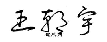 曾慶福王朝宇草書個性簽名怎么寫