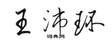 駱恆光王沛環行書個性簽名怎么寫