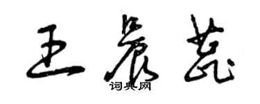 曾慶福王晨蕊草書個性簽名怎么寫