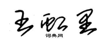 朱錫榮王虹里草書個性簽名怎么寫