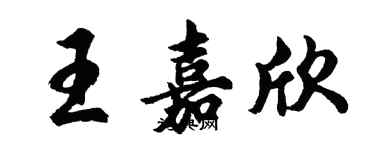 胡問遂王嘉欣行書個性簽名怎么寫