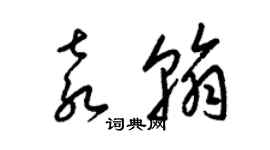 梁錦英袁翰草書個性簽名怎么寫