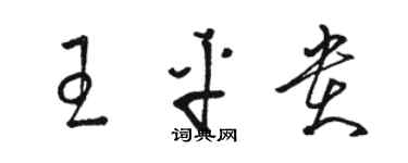 駱恆光王平貴草書個性簽名怎么寫