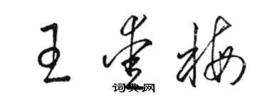 駱恆光王愛梅草書個性簽名怎么寫