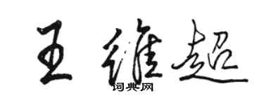 駱恆光王維超行書個性簽名怎么寫