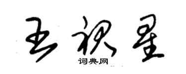 朱錫榮王裙星草書個性簽名怎么寫