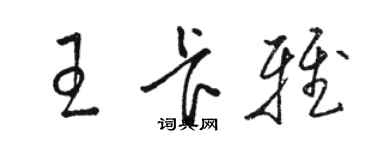 駱恆光王卡雅草書個性簽名怎么寫