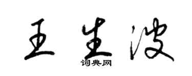 梁錦英王生波草書個性簽名怎么寫