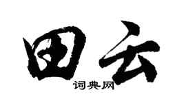 胡問遂田雲行書個性簽名怎么寫