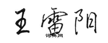駱恆光王雷陽行書個性簽名怎么寫