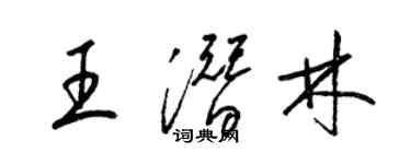 梁錦英王潛林草書個性簽名怎么寫