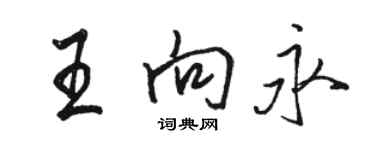 駱恆光王向永行書個性簽名怎么寫