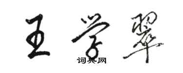 駱恆光王學翠行書個性簽名怎么寫