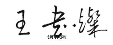 駱恆光王書燦草書個性簽名怎么寫