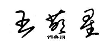 朱錫榮王萌星草書個性簽名怎么寫