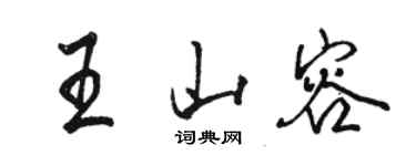 駱恆光王山容行書個性簽名怎么寫