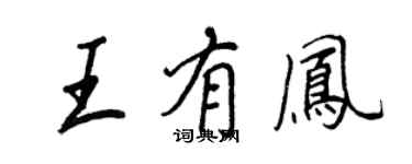 王正良王有鳳行書個性簽名怎么寫