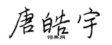 王正良唐皓宇行書個性簽名怎么寫