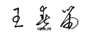 駱恆光王春笛草書個性簽名怎么寫