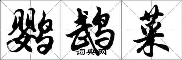 胡問遂鸚鵡菜行書怎么寫