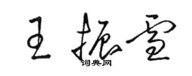 駱恆光王振雪草書個性簽名怎么寫