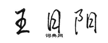 駱恆光王日陽行書個性簽名怎么寫