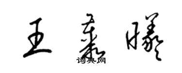 梁錦英王叢曦草書個性簽名怎么寫