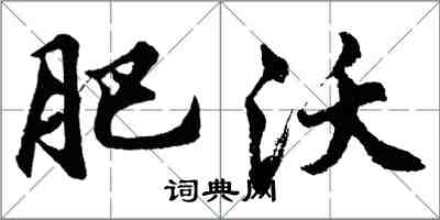 胡問遂肥沃行書怎么寫