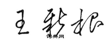 駱恆光王新根草書個性簽名怎么寫
