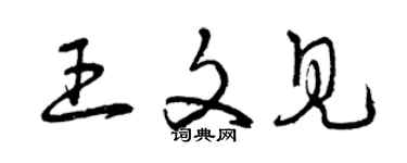 曾慶福王文見草書個性簽名怎么寫